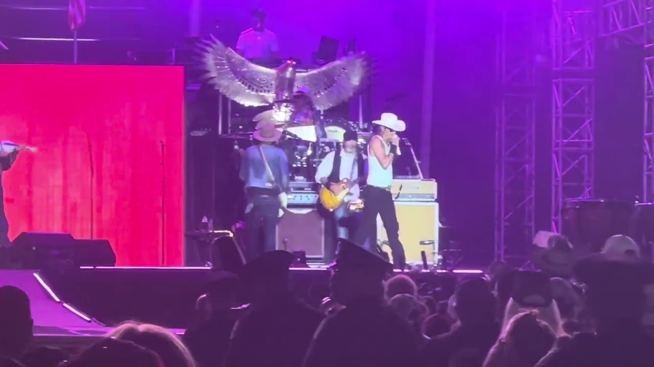 Bad Reputation by Kid Rock