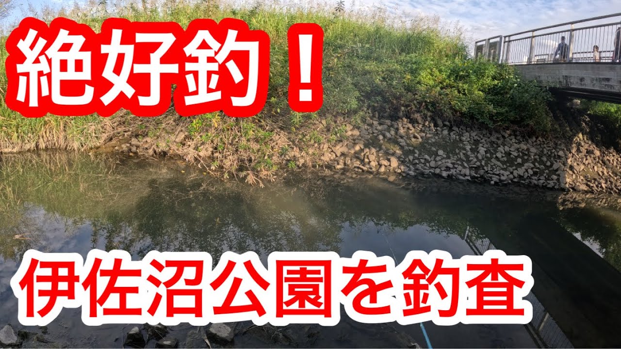 「爆釣！伊佐沼公園の水路」　