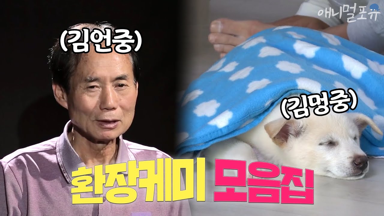 김포 짐승남 김언중의 개딸 김멍중 성장기 풀버전, KBS 방송