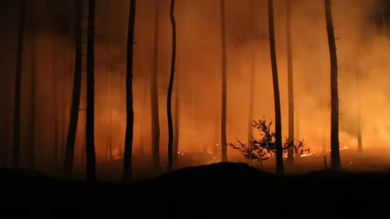 EVAKUIERUNGEN: Heftige Waldbrände in Mecklenburg-Vorpommern und Brandenburg