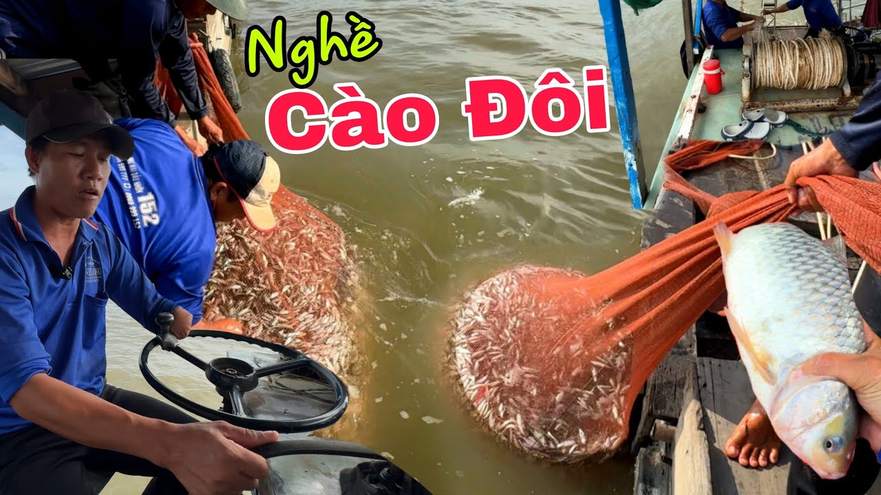 Trúng luồng cá Linh CHƯA TỪNG THẤY - Sự cố rách lưới nghề cào đôi