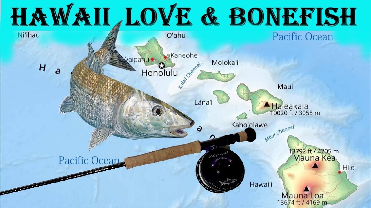 HAWAII: Love & Bonefish