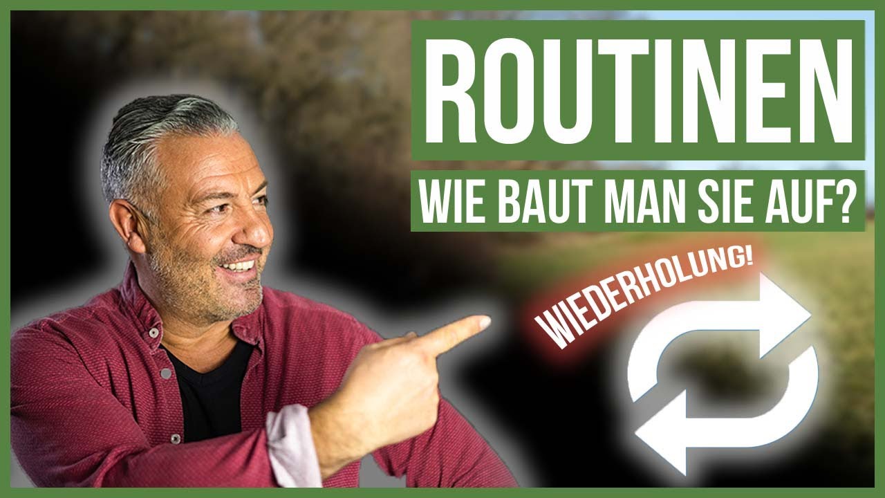 DESHALB sind Routinen wichtig für Deine Mensch-Hund-Beziehung! 😳