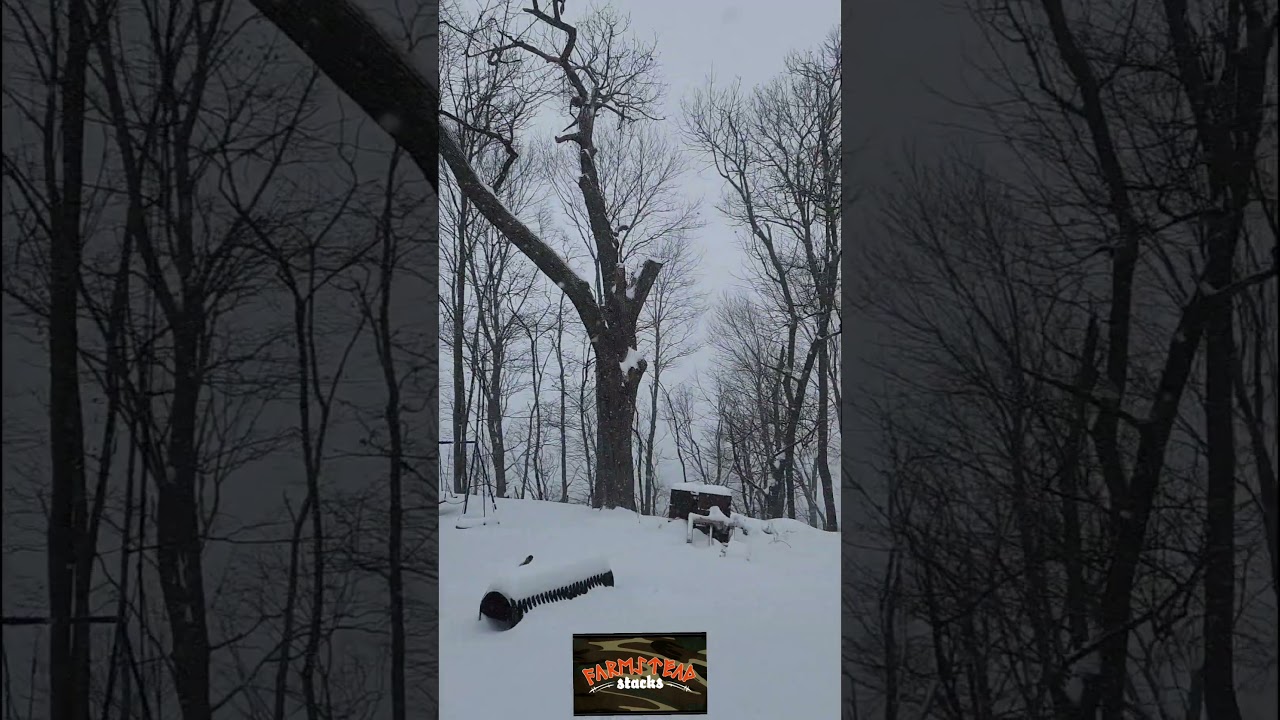 #snow