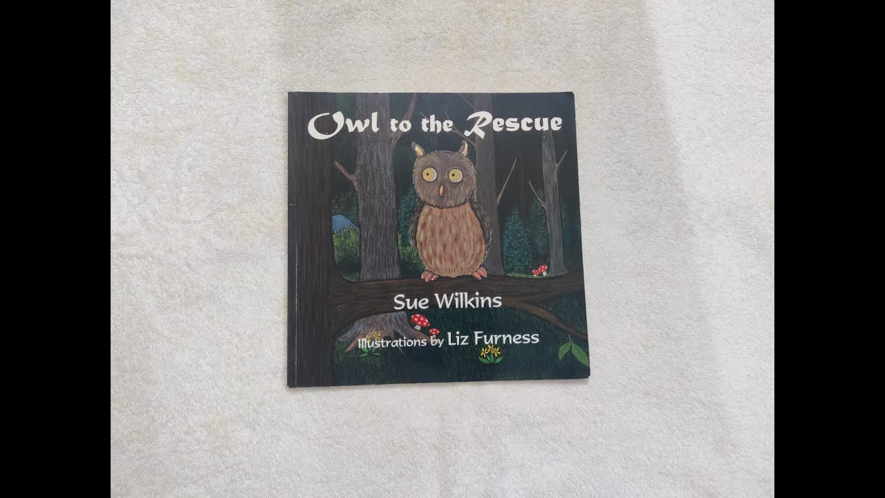 Book: Owl to the Rescue | Sue Wilkins | Illustrated by Liz Furness | Paperback | Ishaansbookhouse