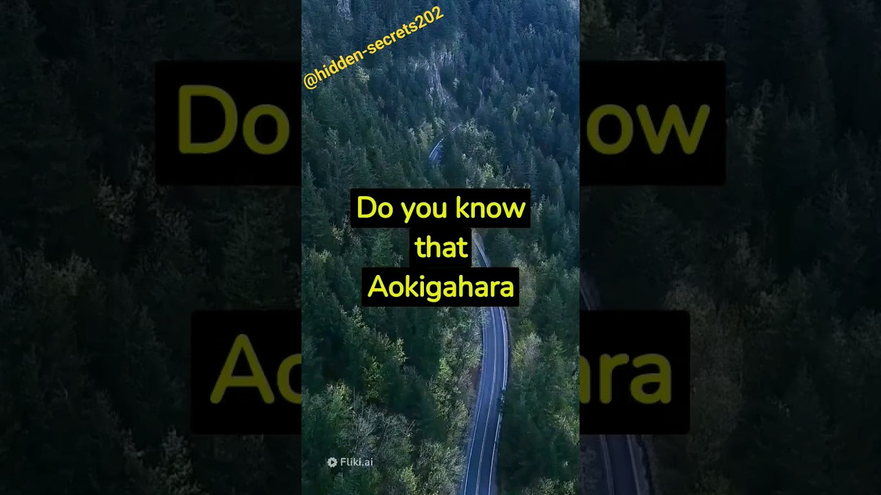 Why People Fear Aokigahara – Japan’s Most Haunted Forest