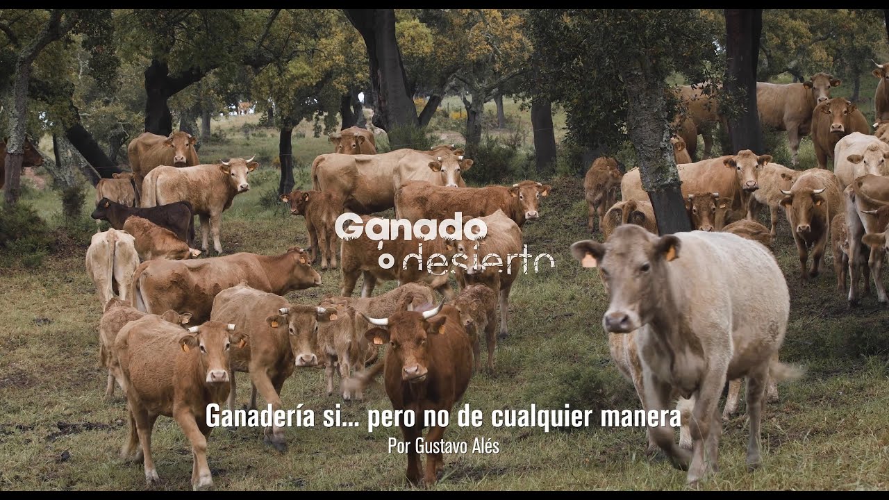 Ganadería si... pero no de cualquier manera. Por Gustavo Alés.