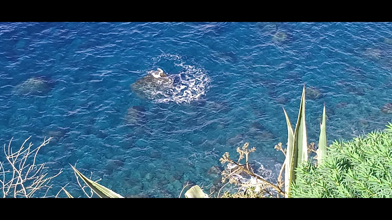 La Costa Viola