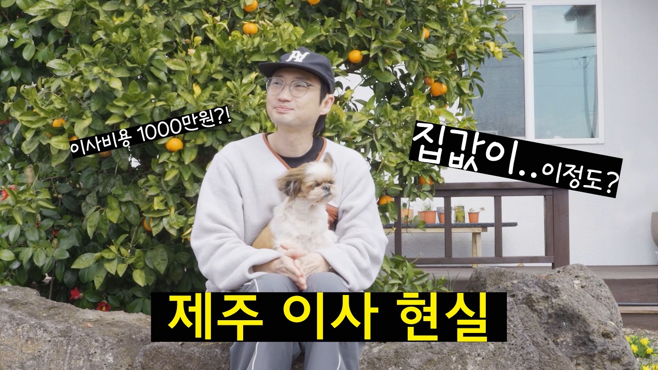 5개월 지낸 텐트 철수하고 제주 이사 갑니다⁉️근데.. 현실적인 비용부터 막혀버렸네요! 장박 철수 캠핑 제주살이 시작! 꽃보다패밀리