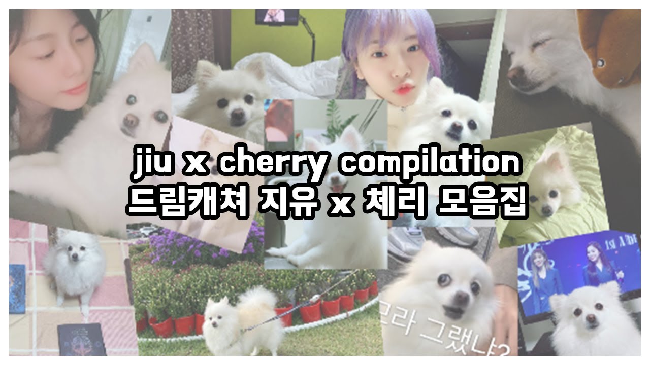 jiu x cherry compilation / 드림캐쳐 지유 x 체리 모음집 🍒