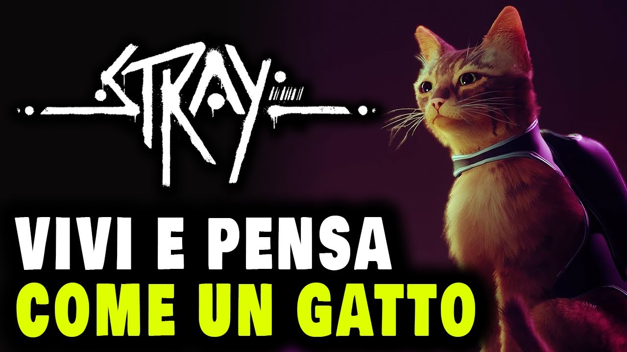 VIVI E PENSA COME UN GATTO ► STRAY PS5 Gameplay ITA