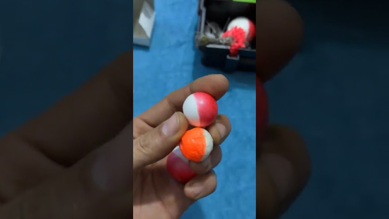 ٢٩ يناير، ٢٠٢٦
