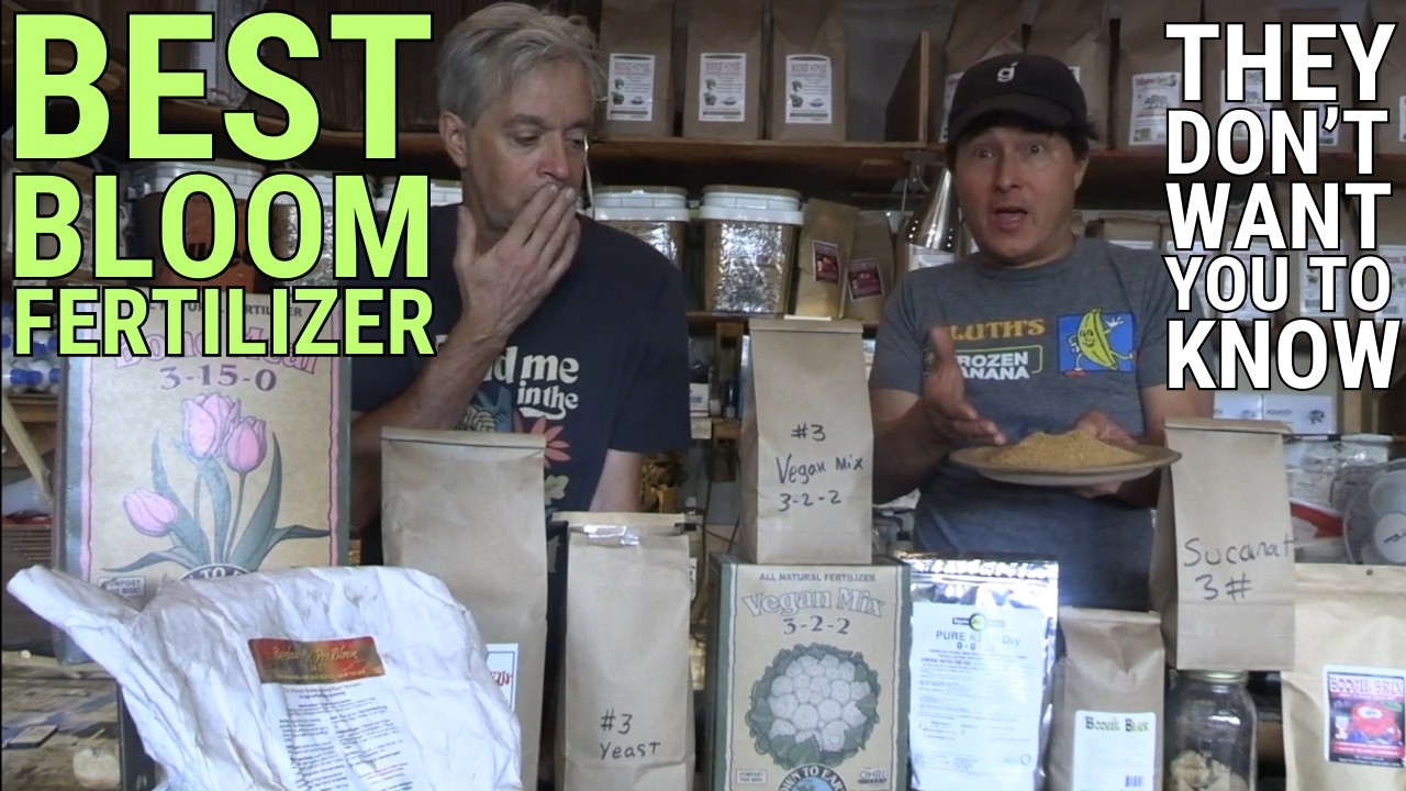 Grow HUGE Cannabis Buds with the BEST Animal-Free Bloom Fertilizer