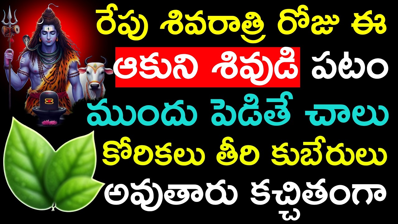 రేపు శివరాత్రి రోజు ఈ ఆకుని శివుడి పటం ముందు పెడితే చాలు  కోరికలు తీరి కుబేరులు అవుతారు కచ్చితంగా