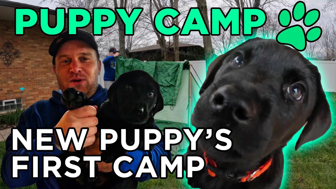 CAMPING WITH MY NEW PUPPY