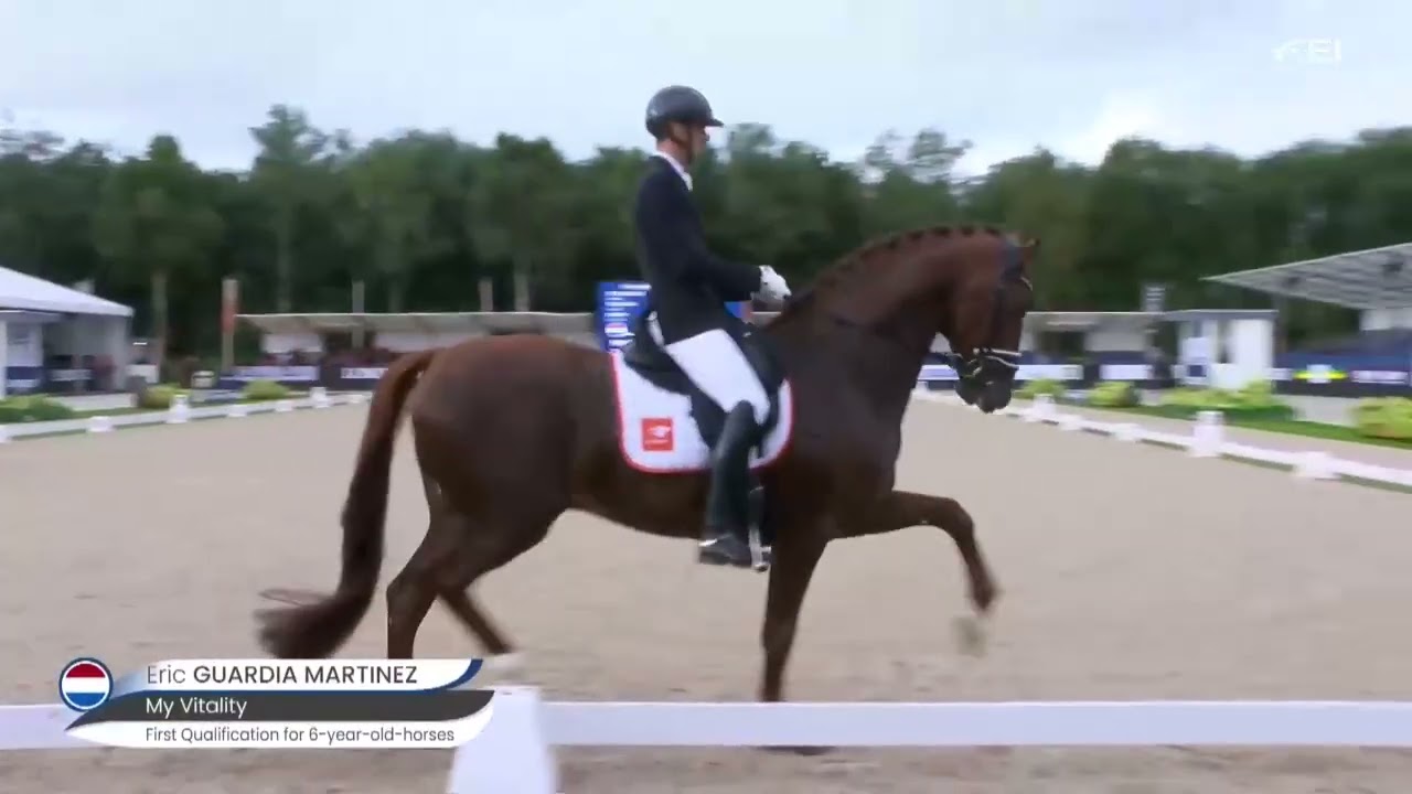 My Vitality (Vivaldi - D-Day) - Stallion