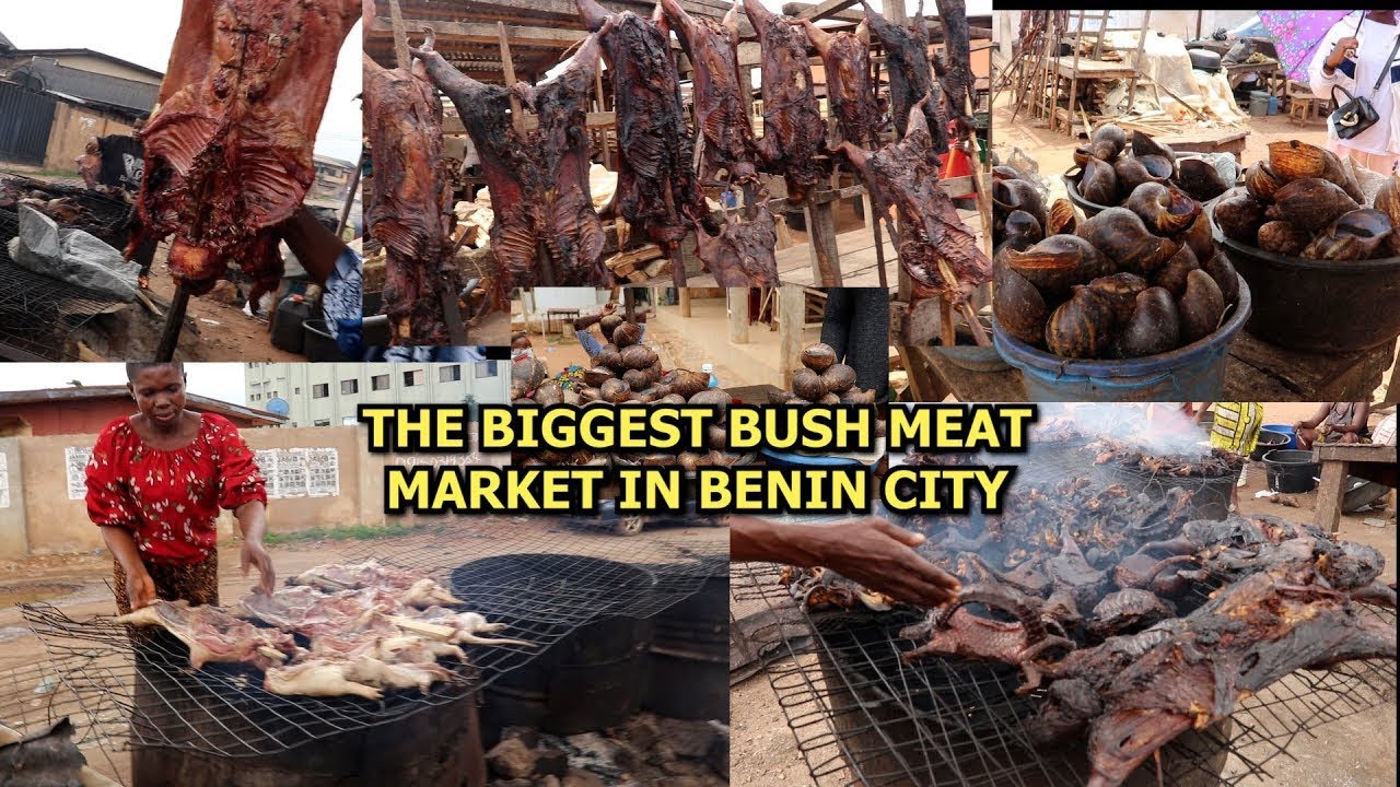 Latest prices of various bush meat antelope grasscutter warthog bush pig python idiot roasted &dried