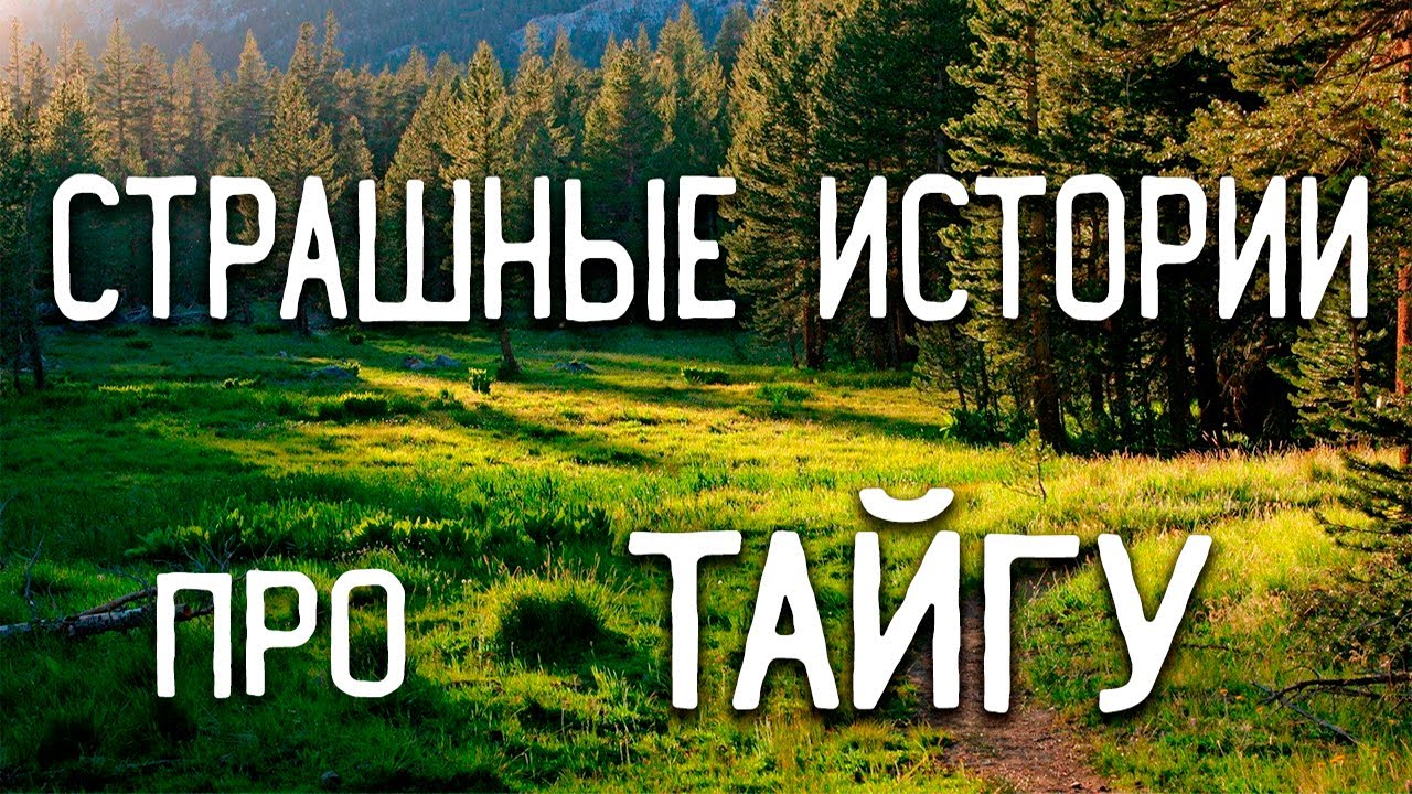 СТРАШНЫЕ ИСТОРИИ НА НОЧЬ / СТРАШНЫЕ ИСТОРИИ ПРО ДЕРЕВНЮ / СТРАШНЫЕ ИСТОРИИ ПРО ВЕДЬМ / ЛЕС