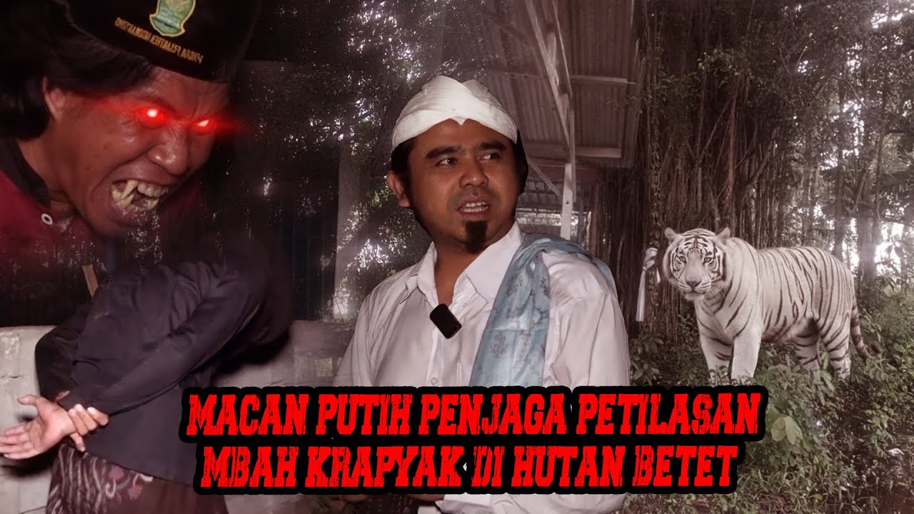 TEGANG!!!... MISTERI KHODAM MACAN PUTIH PENJAGA PETILASAN MBAH KRAPYAK #gussamsudinterbaru