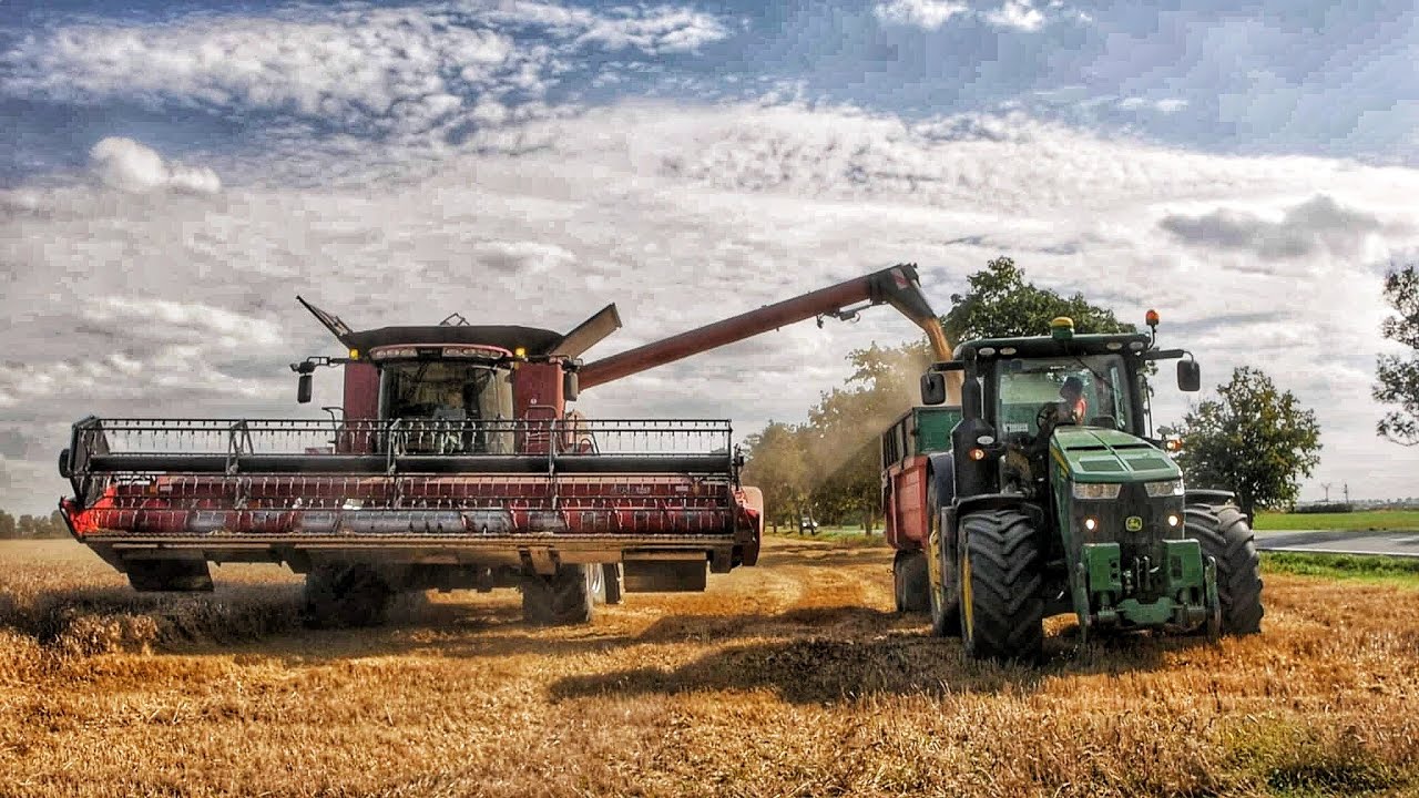 Żniwa z @UbogiRolnik🚜 w🔥 OHZ Gajewo🔥