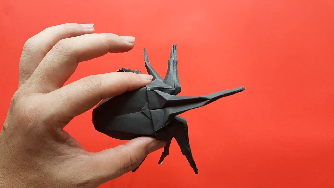 Origami Rhinoceros Beetle/Gấp bọ cánh cứng tê giác