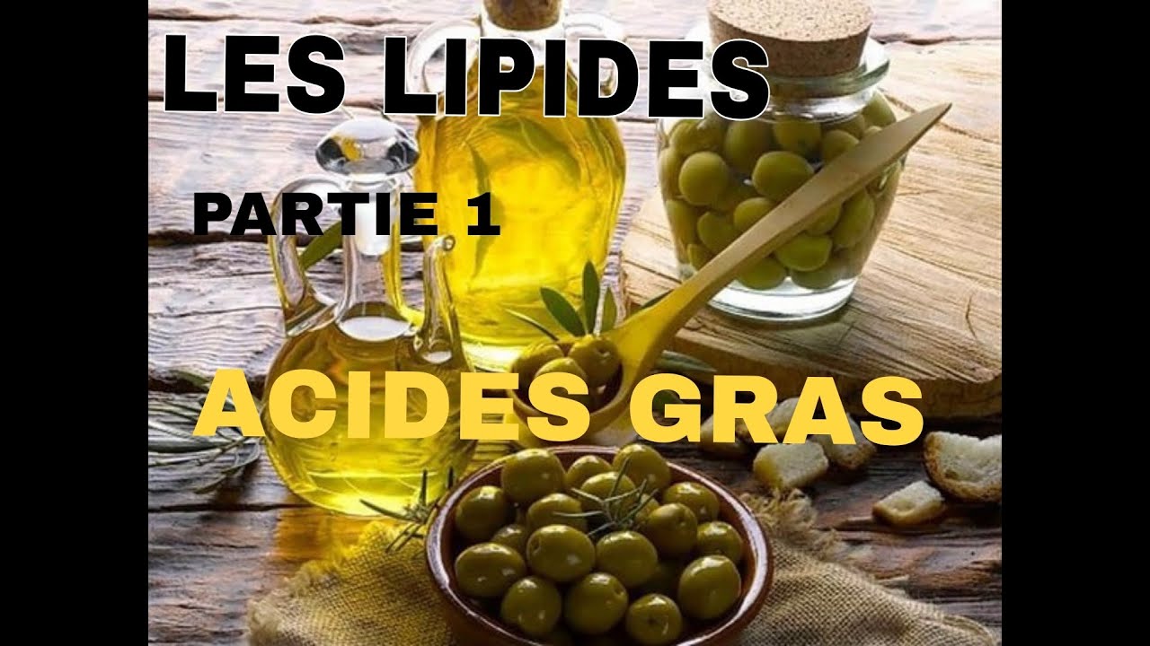LES LIPIDES PART 1 : STRUCTURE ET PROPRIETES DES ACIDES GRAS