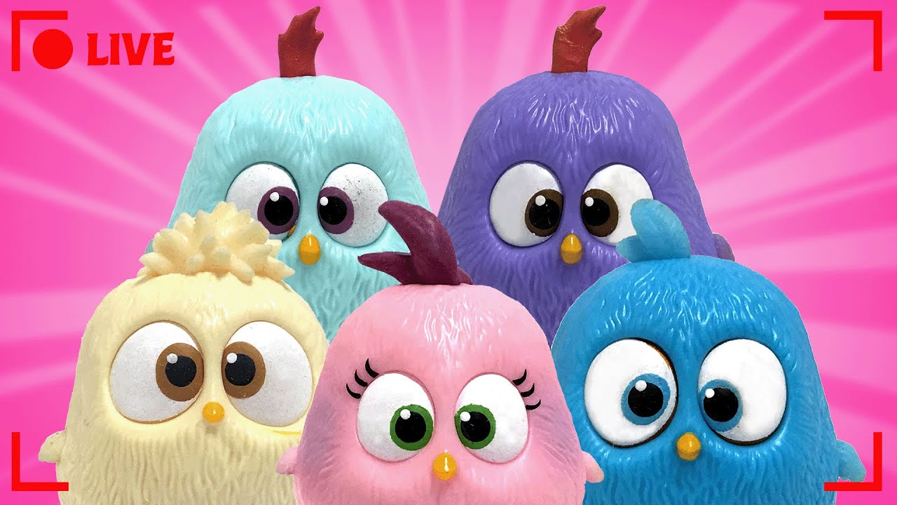 🔴 LIVE Hatchling Hatchites Mania!