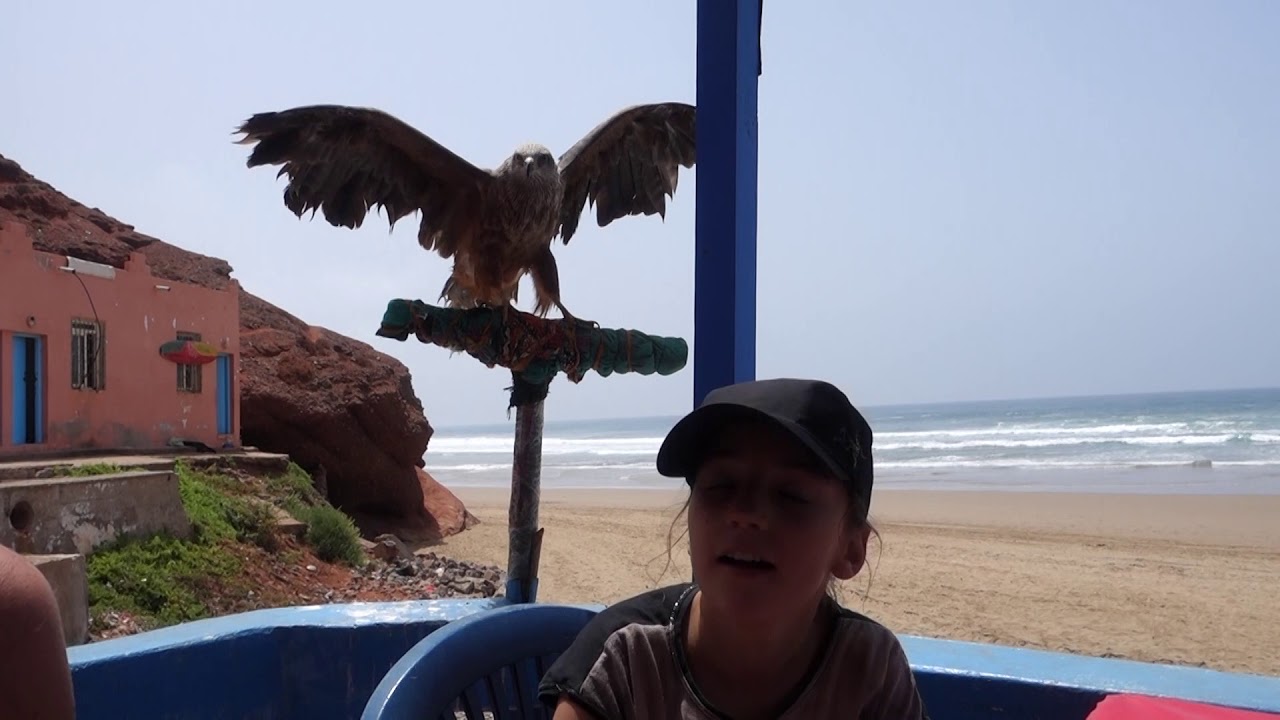 Maroc 2019 partie 9          Plage de Legzira