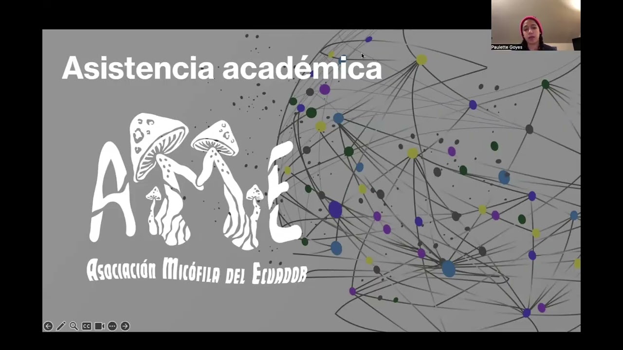 Asistencia Académica AME - Currículum Vitae y Cartas de intención (Cover letter)