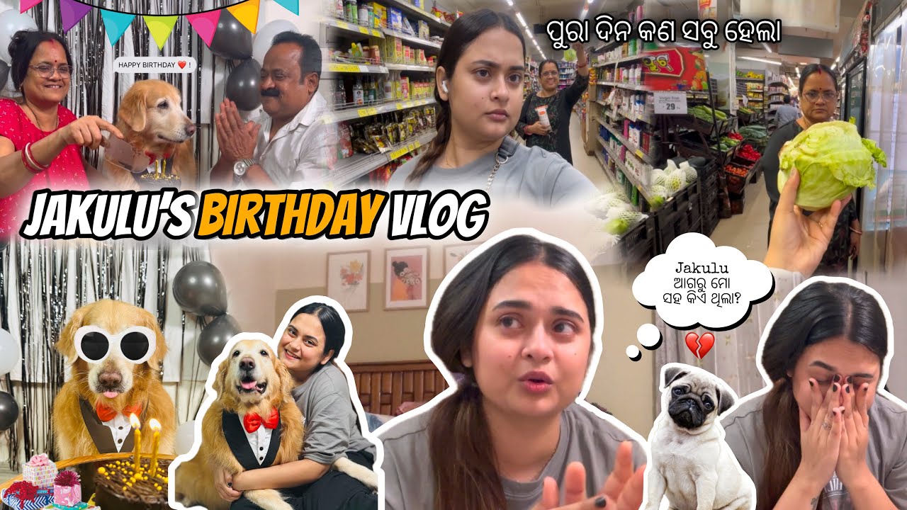 Jakulu’s birthday vlog🐶|| Jakulu ଆଗରୁ ମୋ ସହ କିଏ ଥିଲା? || ପୁରା ଦିନ କଣ ସବୁ ହେଲା || #architamohanty