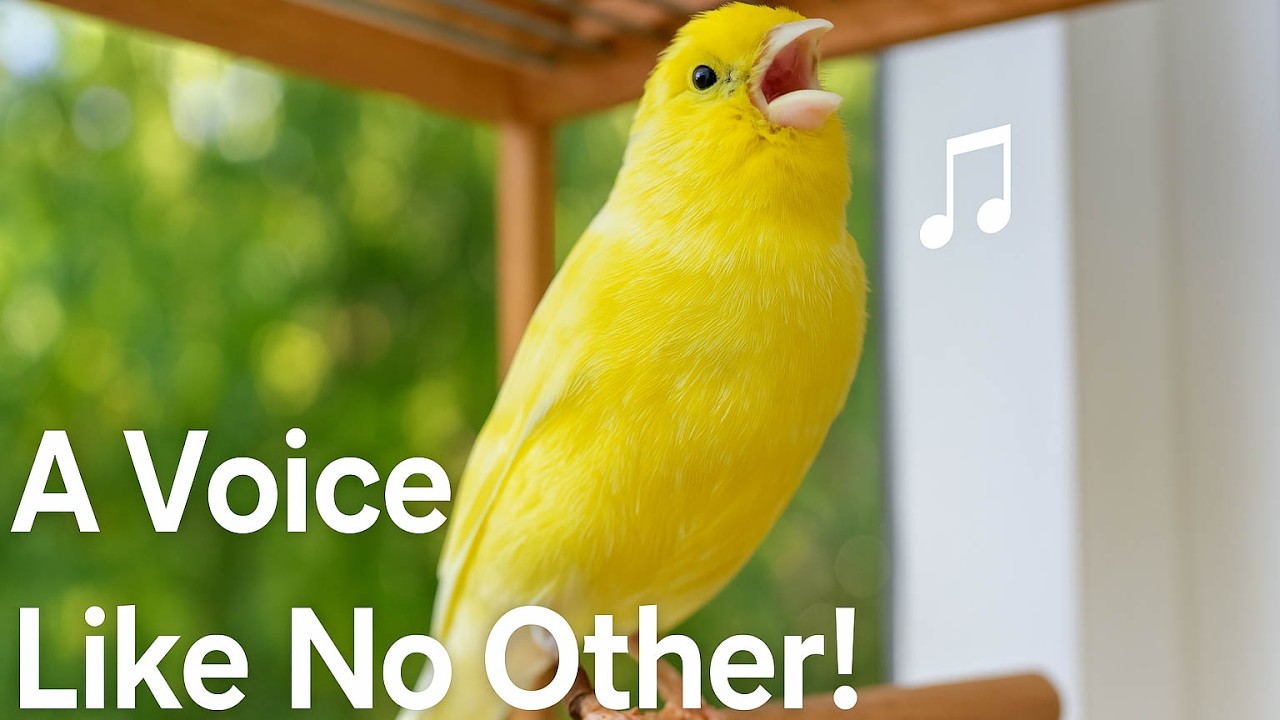 You Won&rsquo;t Believe How Quickly Your Canary Reacts to THIS!
