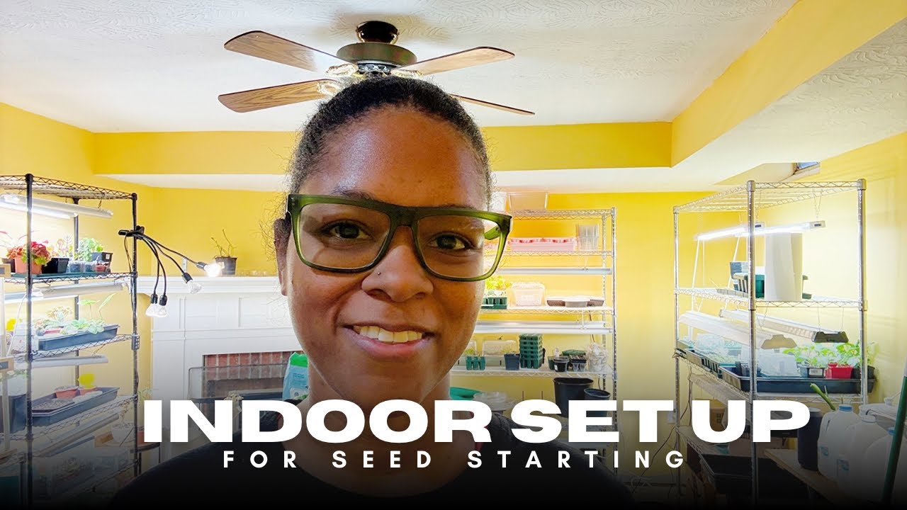 Seed Starting Set Up Indoors | New Seeds I've Started and Updates On Plants