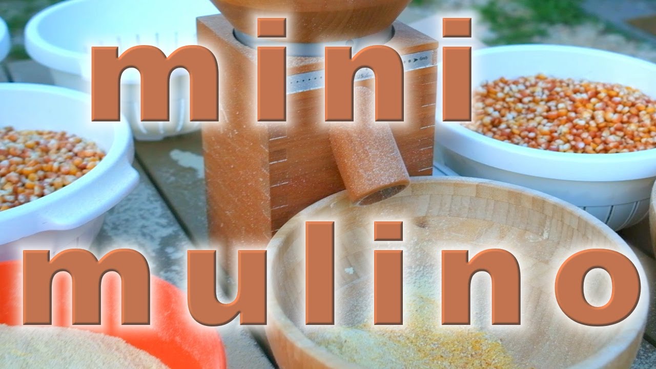 come macinare mais (granturco, grano turco) in casa con mini mulino domestico - farina per polenta
