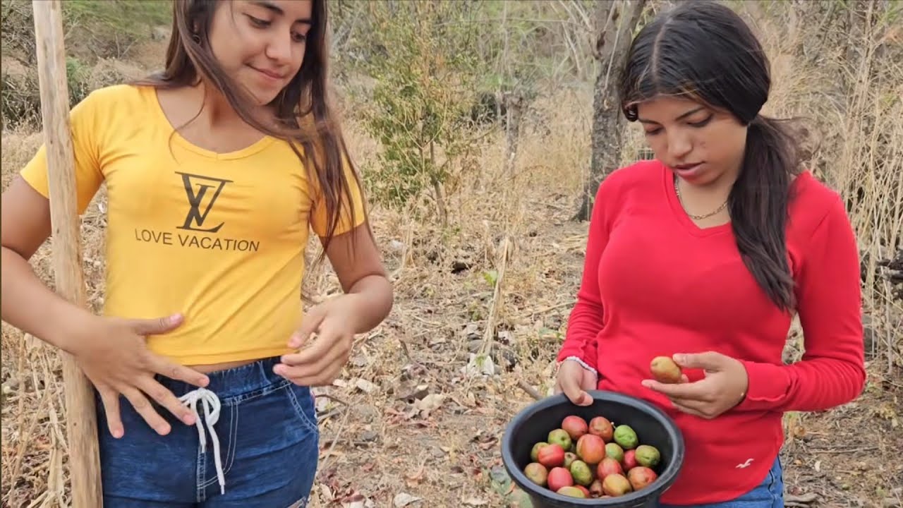 🛑Las Chicas🥰Cortando los Primeros Jocotes de la Temporada en El Salvador 😱/ El Buen Salvadoreño 