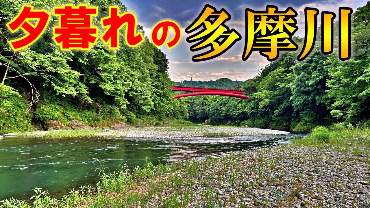 長年このエリアに通ってて初めての出来事！夕暮れの多摩川渓流釣り！