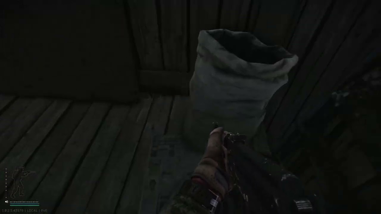 EFT: SHORELINE - into the swamp