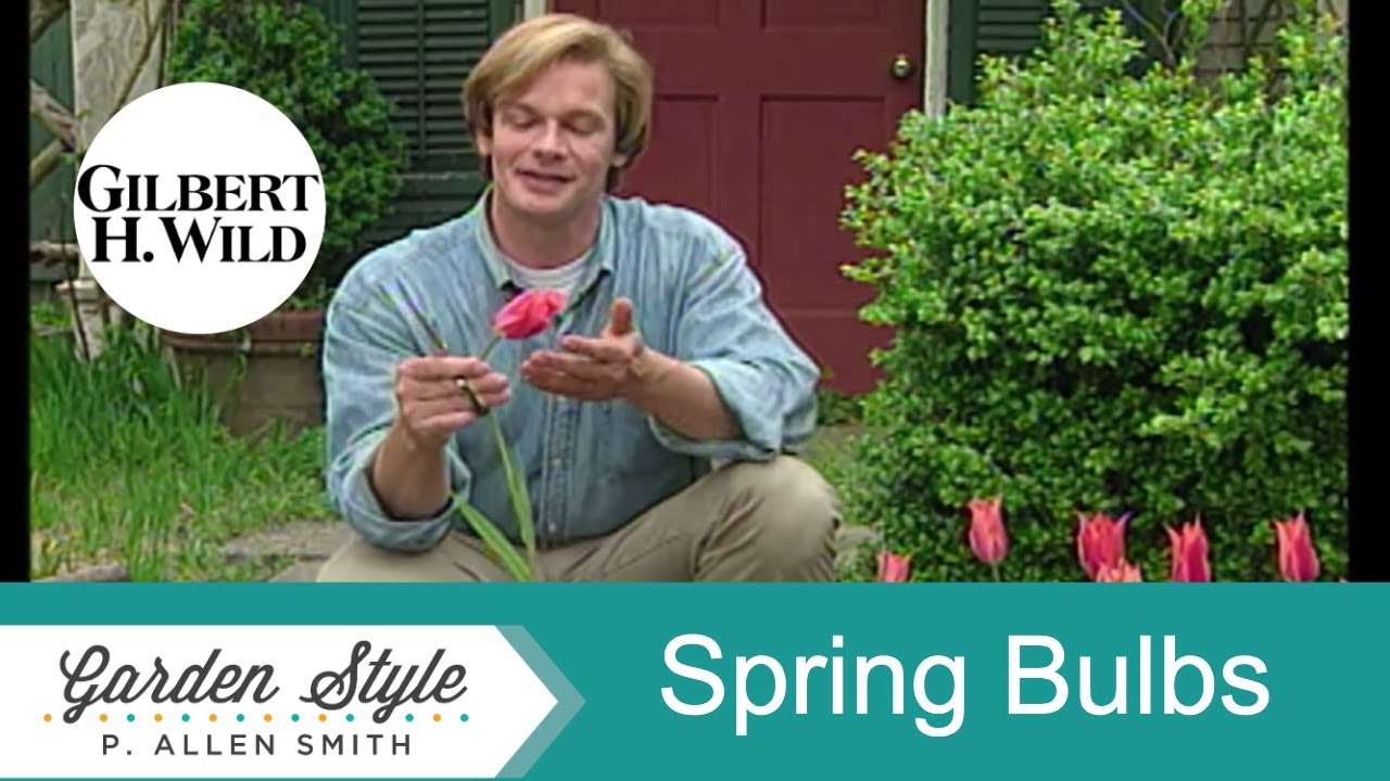 Growing Spring Bulbs | Garden Style (120)