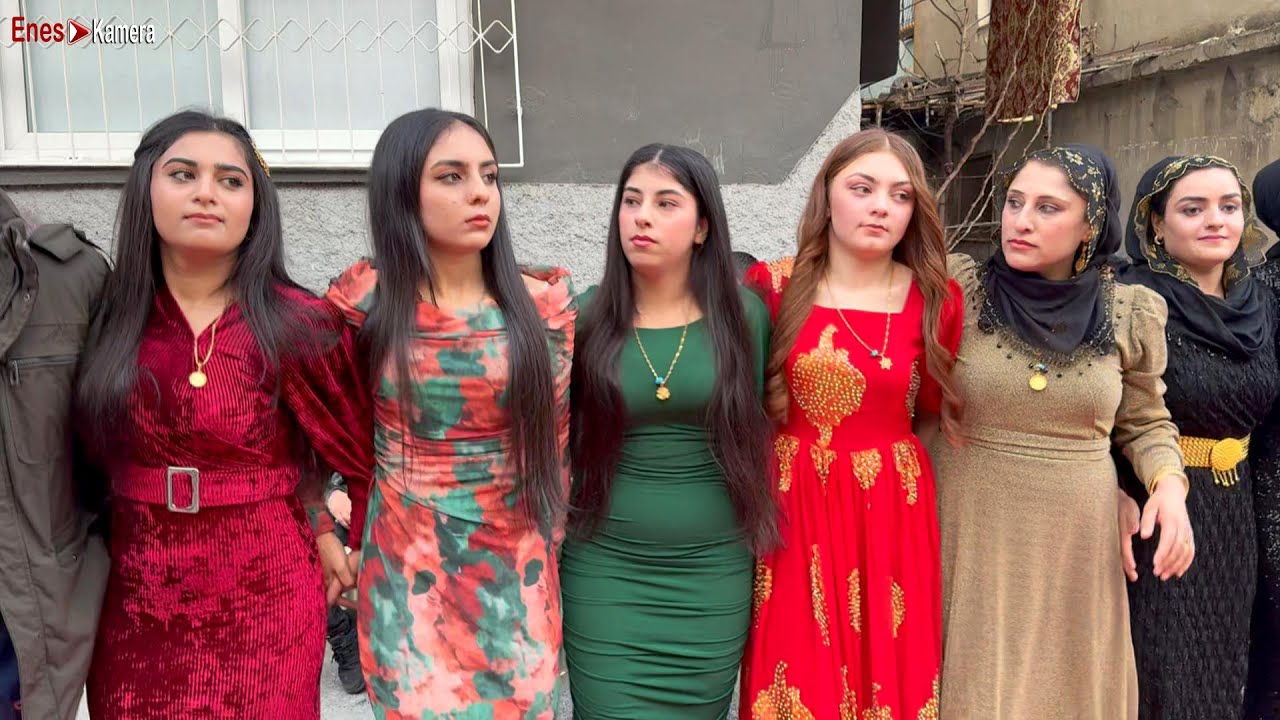 Yeni Kürtçe Halay 2025 - Cida Govend - Kurdish Wedding - Rekor Kıran Düğün