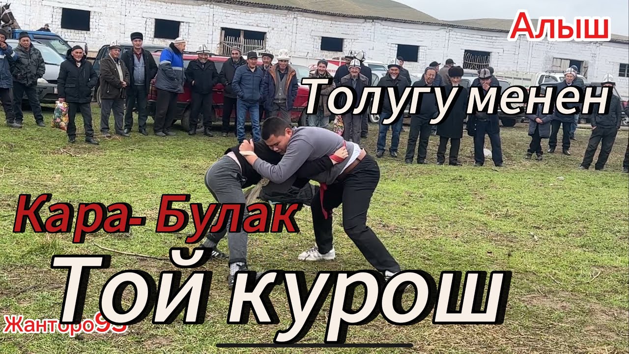 Кара Булак Алыш Курош