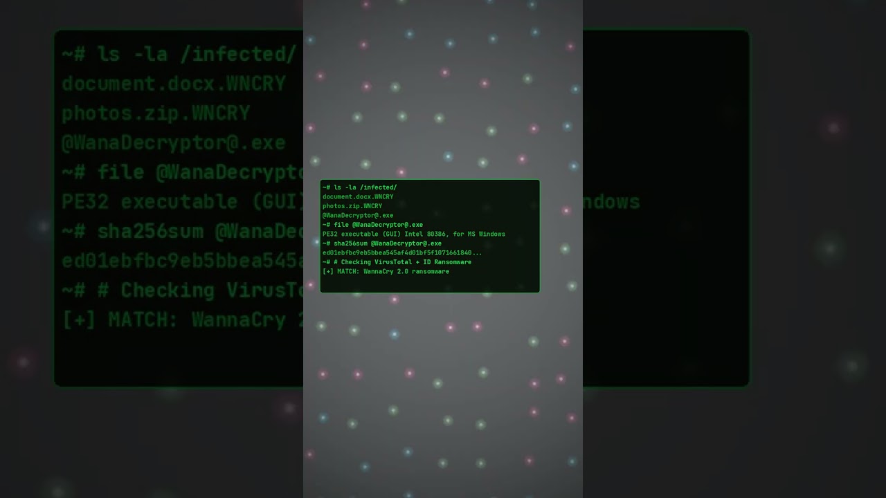 I Identified the Ransomware in 60 Seconds
