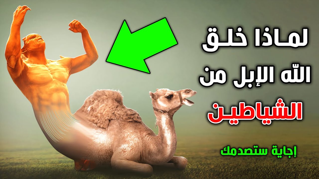 لماذا خلق الله الإبل من الشياطين ؟ وكيف خلقت من النار ؟ سبحان الله !! لن تصدق السبب