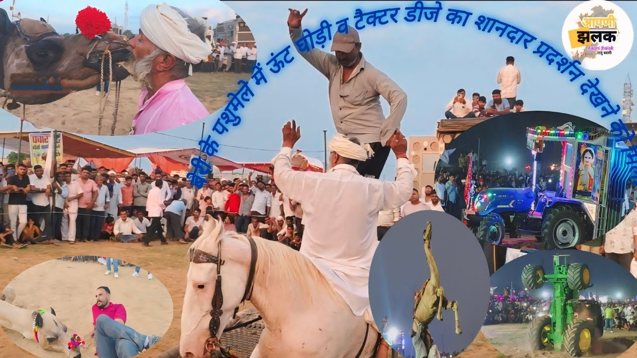 बेरी पशुमेले में चले ऊंट घोड़ी नृत्य व टैक्टर स्टंट और डीजे स्टंट की शानदार प्रस्तुति देखें #news