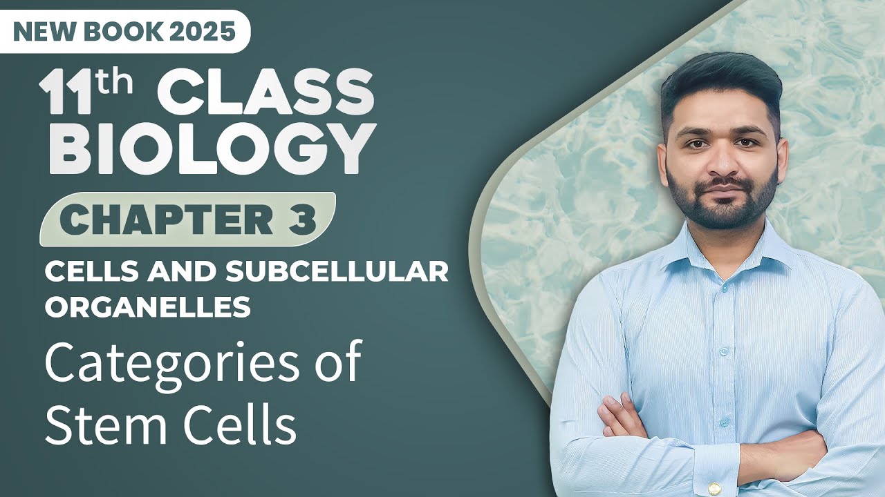 11th Class Biology Chapter 3 | Categories of Stem Cells | Class 11th Biology New Book 2025
