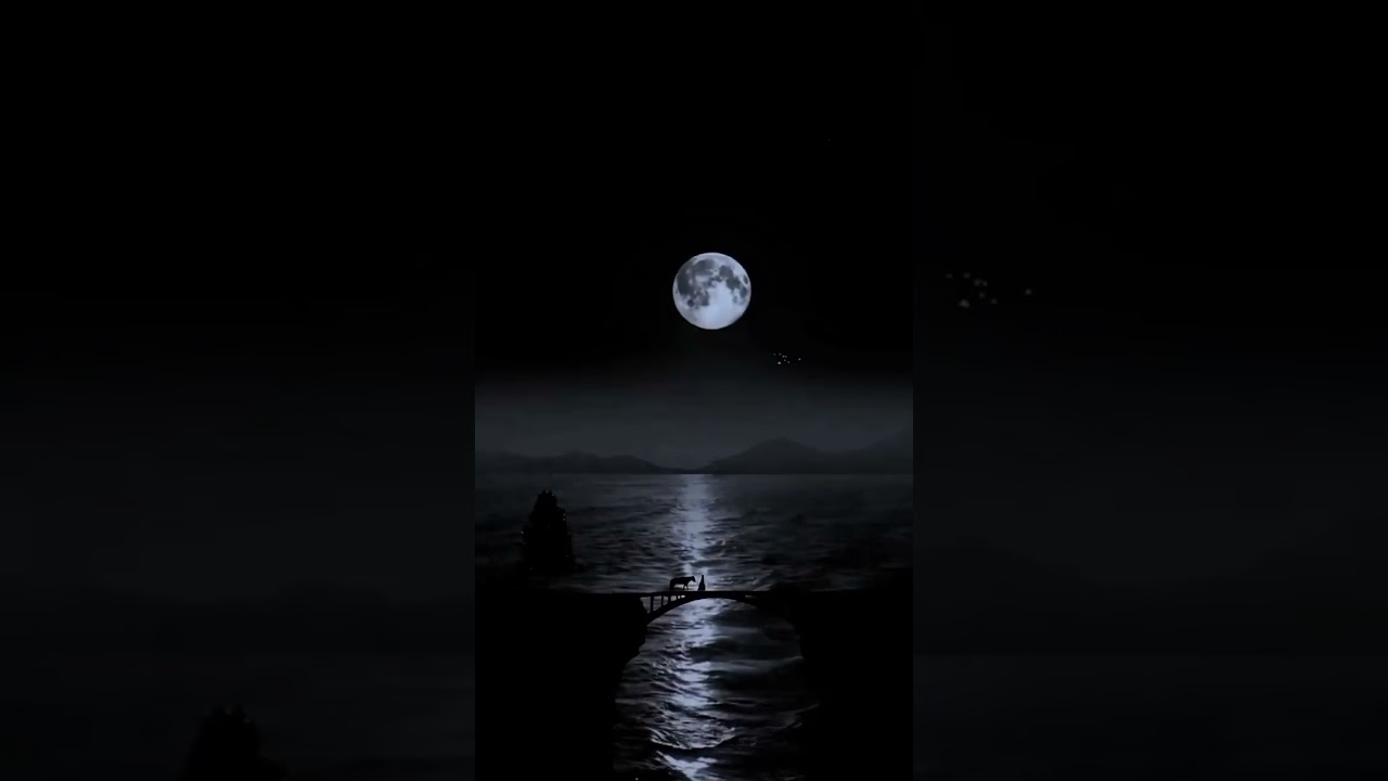 Aicha - Harget Kart (Audio Edit) #love #song #lofi #aesthetic #edit #audio #remix