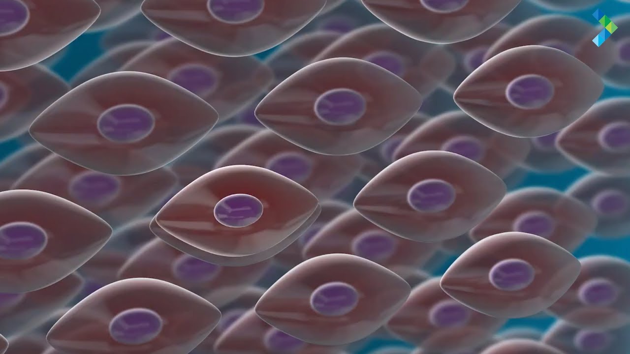 Stem Cells in Danbury CT | Greater Connecticut Oral & Dental Implant Surgery