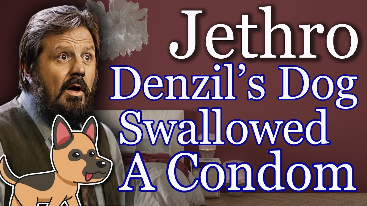 Pies Jethro Denzila połknął prezerwatywę🤯 Zabawne opowieści o nieszczęściach i niepowodzeniach💥