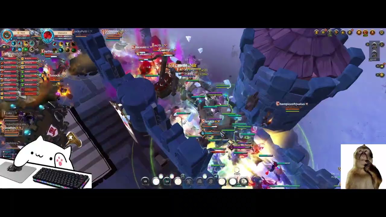 Milfgaard vs WorldWide vs Bonk