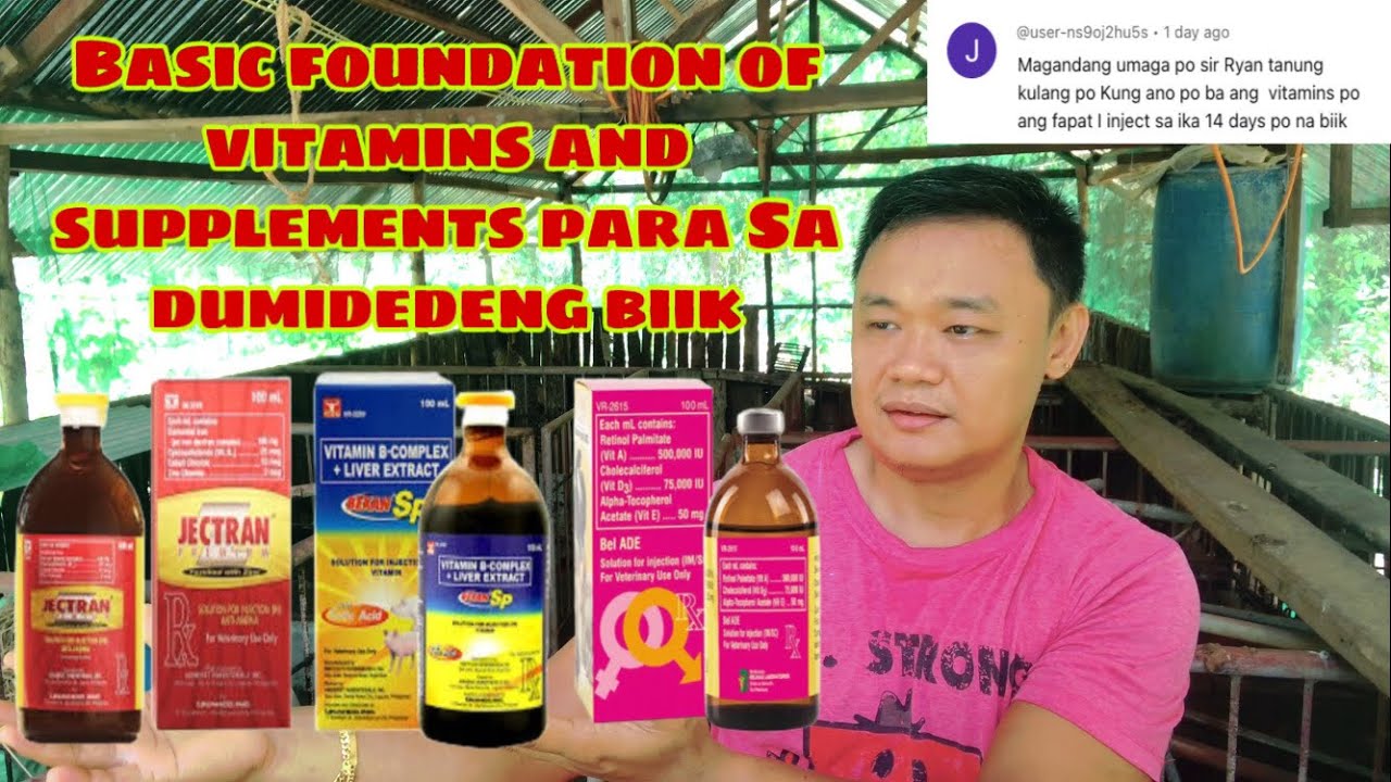 Tamang pagturok ng vitamins at supplements sa mga dumidedeng biik | Ryan Patenio