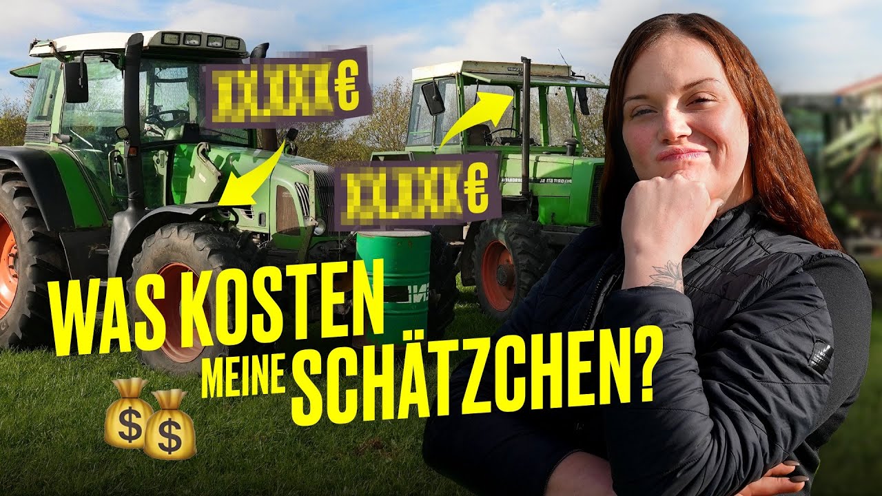 PREISE RATEN: SO teuer ist ein Traktor (Oldtimer 😍) I Hundert Hektar Heimat