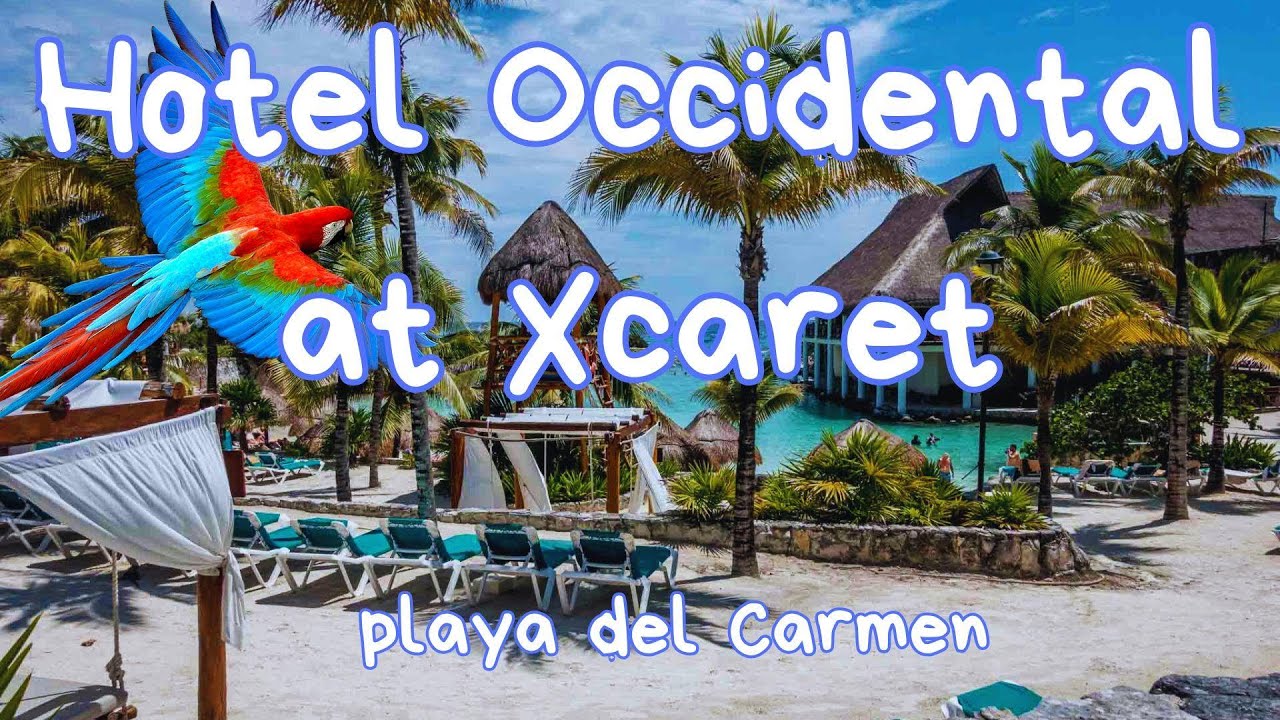 Hotel Occidental At XCARET. GUIA RAPIDA ANTES DE VISITAR ESTE HOTEL
